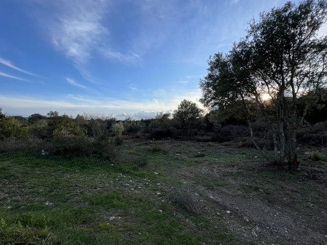 (Verkauf) Nutzbares Land Grundstück || Corfu (Kerkira)/Faiakes - 4.000 m², 60.000€ 