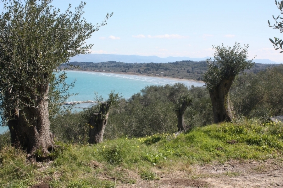(Verkauf) Nutzbares Land Grundstück || Corfu (Kerkira)/Korissioi - 4.000 m², 1.000€ 