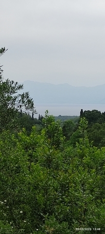 (Verkauf) Nutzbares Land Ackerland  || Corfu (Kerkira)/Kassiopi - 5.000 m², 140.000€ 