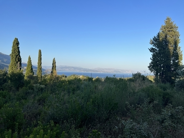 (For Sale) Land Agricultural Land  || Corfu (Kerkira)/Faiakes - 6.000 Sq.m, 400.000€ 