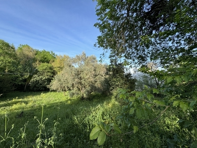 (Verkauf) Nutzbares Land Grundstück || Corfu (Kerkira)/Corfu Chora (Kerkira) - 1.294 m², 100.000€ 
