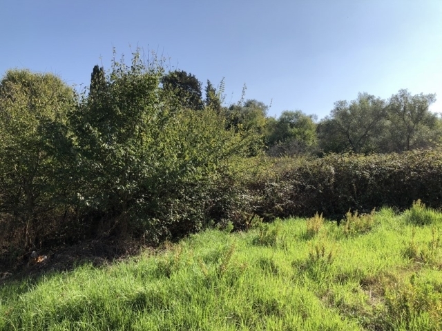 (Verkauf) Nutzbares Land Grundstück || Corfu (Kerkira)/Corfu Chora (Kerkira) - 3.200 m², 320.000€ 