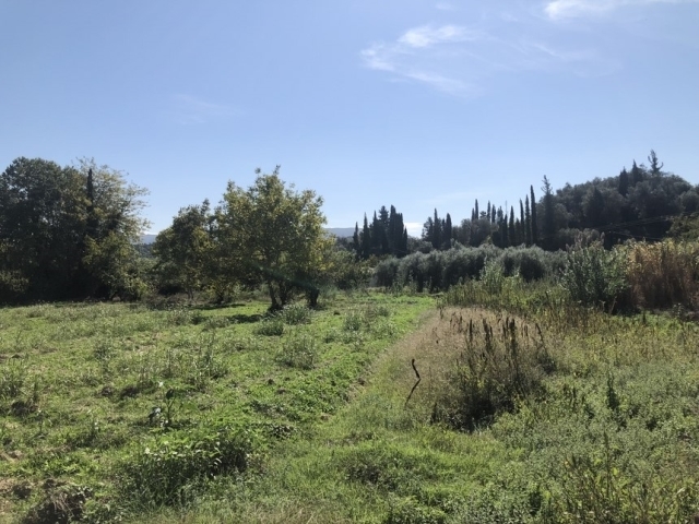 (For Sale) Land Agricultural Land  || Corfu (Kerkira)/Esperies - 1.500 Sq.m, 70.000€ 