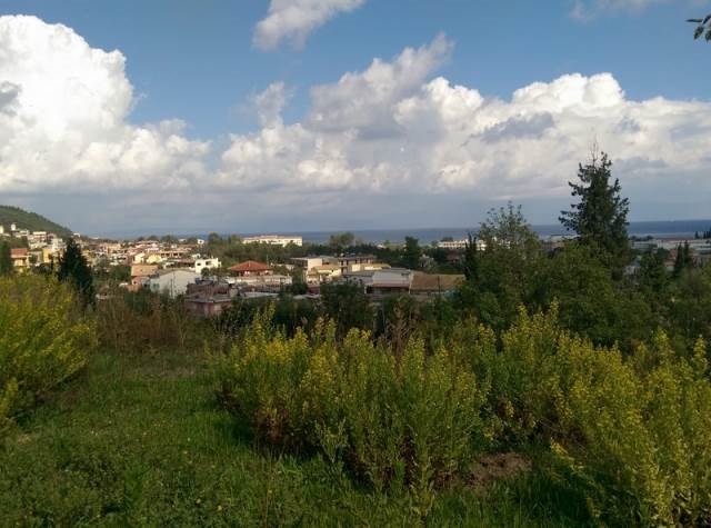 (For Sale) Land Plot || Corfu (Kerkira)/Meliteieoi - 12.000Sq.m, 800.000€ 