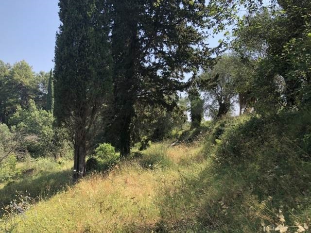 (Verkauf) Nutzbares Land Ackerland  || Corfu (Kerkira)/Achilleio - 2.051 m², 80.000€ 