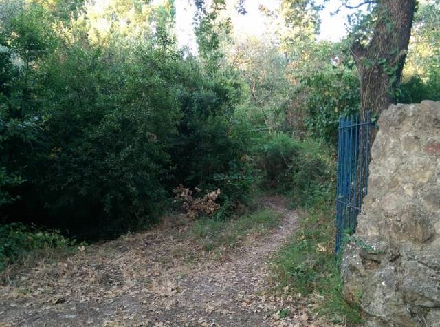 (For Sale) Land Plot out of Settlement || Corfu (Kerkira)/Achilleio - 6.500Sq.m, 100.000€ 