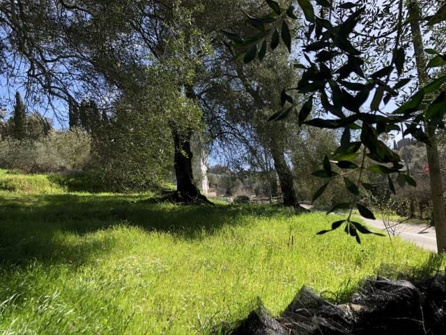 (Verkauf) Nutzbares Land Grundstück || Corfu (Kerkira)/Corfu Chora (Kerkira) - 3.000 m², 150.000€ 