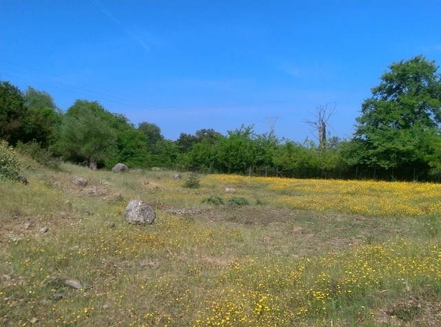 (Verkauf) Nutzbares Land Grundstück || Corfu (Kerkira)/Corfu Chora (Kerkira) - 10.000m², 100.000€ 