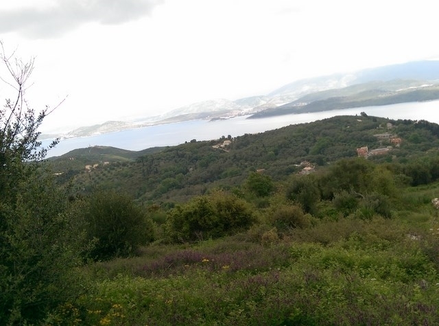 (Verkauf) Nutzbares Land Ackerland  || Corfu (Kerkira)/Kassiopi - 4.500 m², 200.000€ 