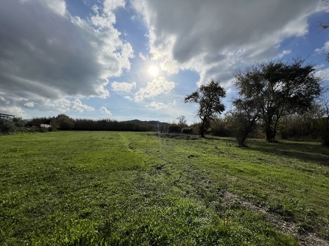 (Verkauf) Nutzbares Land Ackerland  || Corfu (Kerkira)/Esperies - 20.000 m², 200.000€ 
