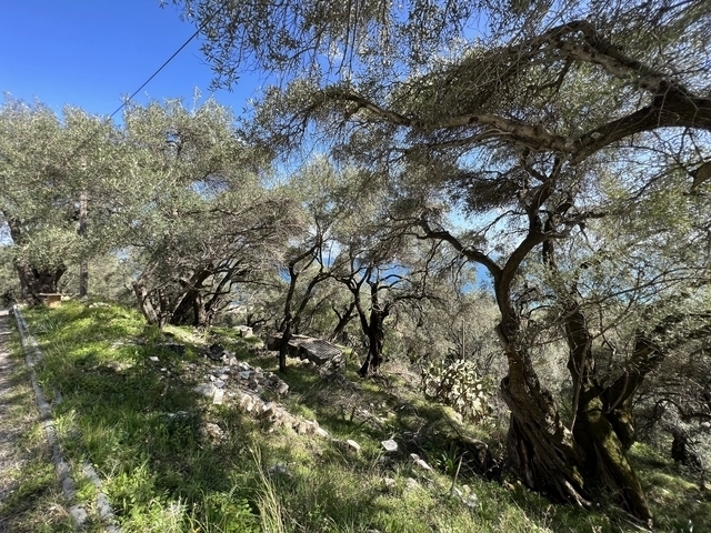 (Προς Πώληση) Αξιοποιήσιμη Γη Οικόπεδο || Ν. Κέρκυρας/Φαίακες - 1.300 τ.μ, 200.000€ 