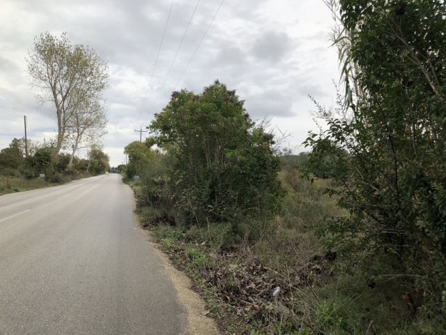 (Προς Πώληση) Αξιοποιήσιμη Γη Οικόπεδο || Ν. Κέρκυρας/Παλαιοκαστρίτσα - 11.340 τ.μ, 450.000€ 
