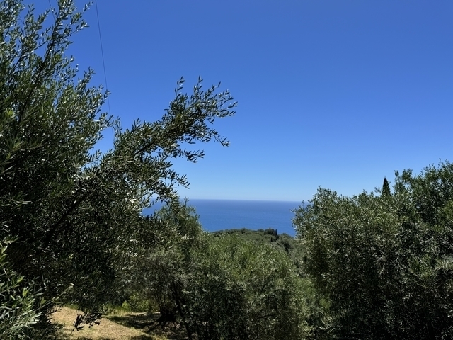 (Προς Πώληση) Αξιοποιήσιμη Γη Αγροτεμάχιο || Ν. Κέρκυρας/Μελιτειέοι - 6.500 τ.μ, 350.000€ 