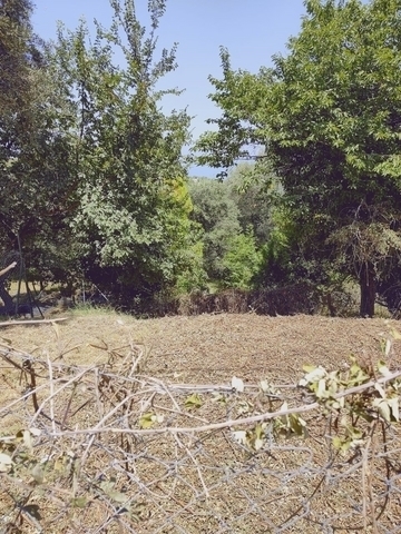 (Προς Πώληση) Αξιοποιήσιμη Γη Οικόπεδο || Ν. Κέρκυρας/Αχίλλειο - 165,98 τ.μ, 30.000€ 
