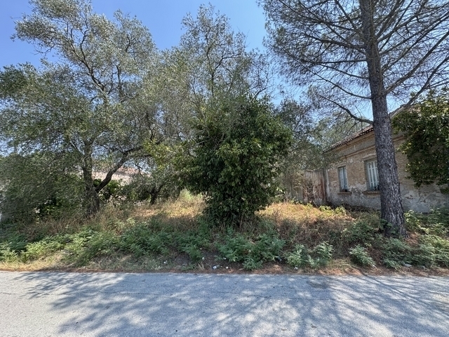 (For Sale) Land Plot || Corfu (Kerkira)/Lefkimmi - 1.000 Sq.m, 50.000€ 