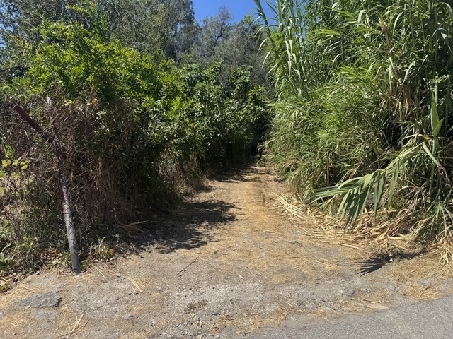 (For Sale) Land Agricultural Land  || Corfu (Kerkira)/Achilleio - 4.080 Sq.m, 80.000€ 