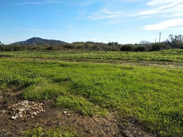 (For Sale) Land Agricultural Land  || Corfu (Kerkira)/Meliteieoi - 10.000 Sq.m, 120.000€ 