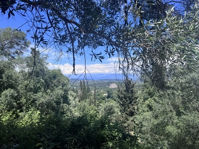 (For Sale) Land Plot || Corfu (Kerkira)/Pareli - 2.000 Sq.m, 100.000€ 