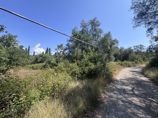 (Προς Πώληση) Αξιοποιήσιμη Γη Αγροτεμάχιο || Ν. Κέρκυρας/Αχίλλειο - 6.525 τ.μ, 80.000€ 