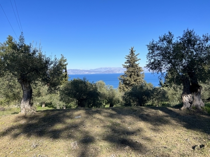 (Προς Πώληση) Αξιοποιήσιμη Γη Οικόπεδο || Ν. Κέρκυρας/Αχίλλειο - 5.712 τ.μ, 240.000€ 