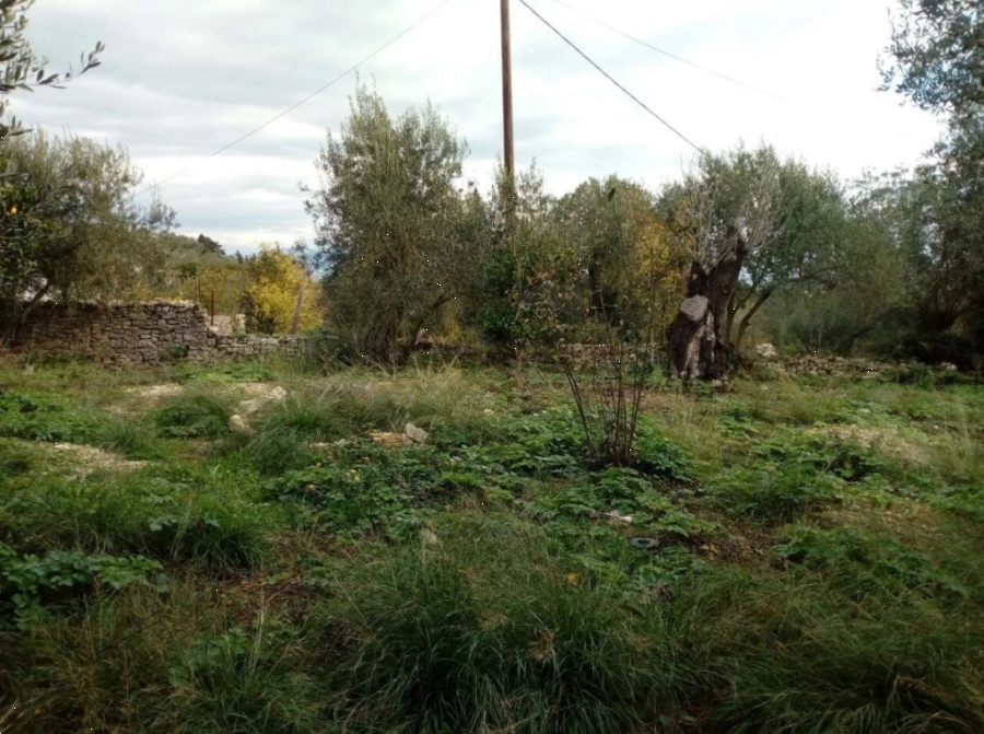 (Προς Πώληση) Αξιοποιήσιμη Γη Οικόπεδο || Ν. Κέρκυρας/Παξοί - 340 τ.μ, 150.000€ 