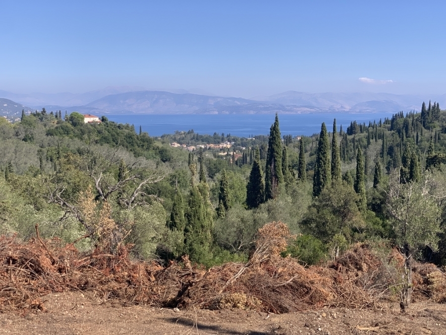 (Προς Πώληση) Αξιοποιήσιμη Γη Οικόπεδο || Ν. Κέρκυρας/Φαίακες - 4.165,43 τ.μ, 120.000€ 