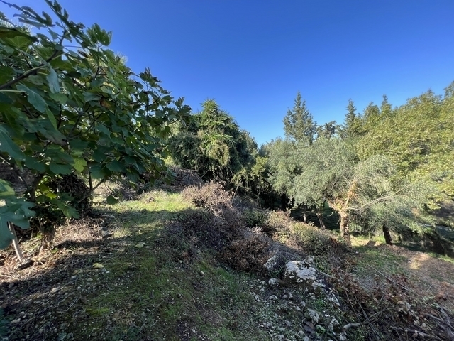 (Προς Πώληση) Αξιοποιήσιμη Γη Αγροτεμάχιο || Ν. Κέρκυρας/Αχίλλειο - 5.500 τ.μ, 130.000€ 